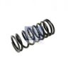 MERCE 4030531122 Valve Spring